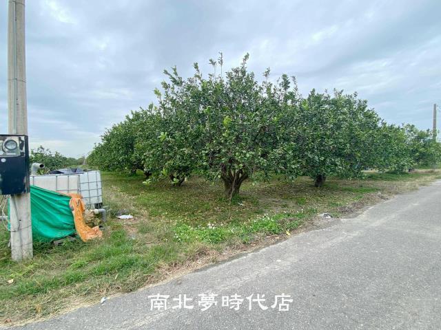 台南麻豆農地-5