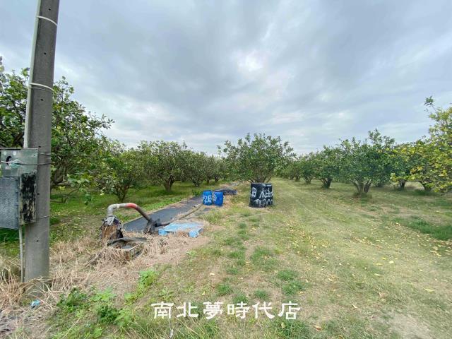 台南麻豆農地-7