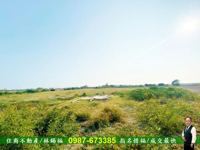 台南仁德農地-7