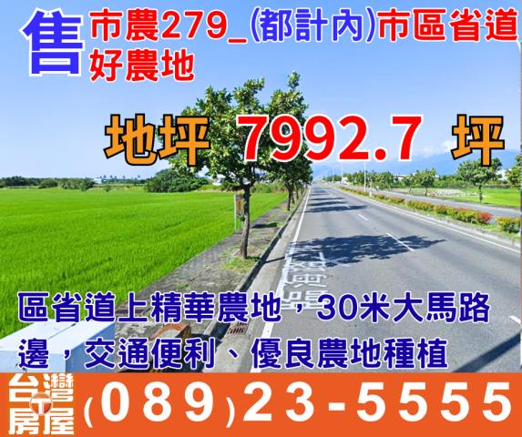 台東市農地-1