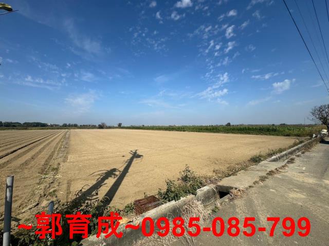 六腳農地-1