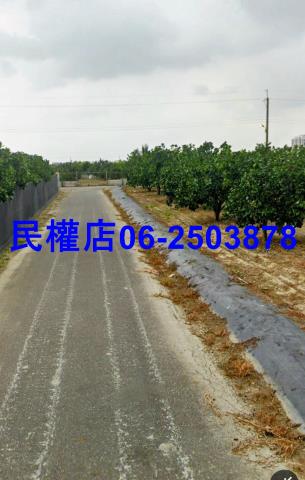 台南農地-8