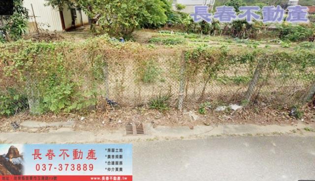 苗栗農地-1