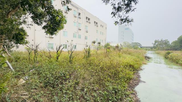 苗栗竹南工業地-10
