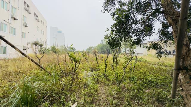苗栗竹南工業地-6