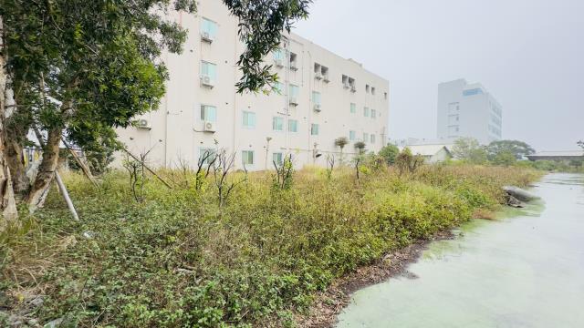 苗栗竹南工業地-9