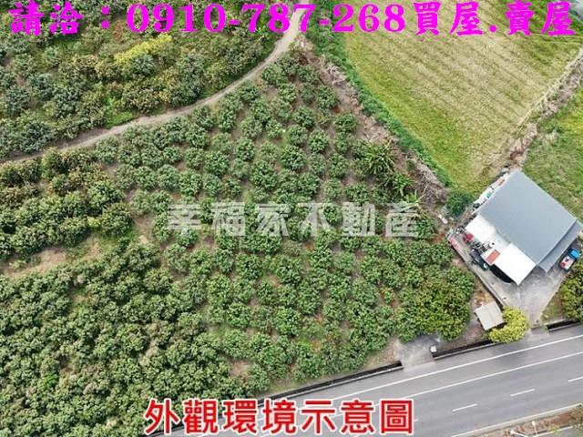 台南玉井農地-1