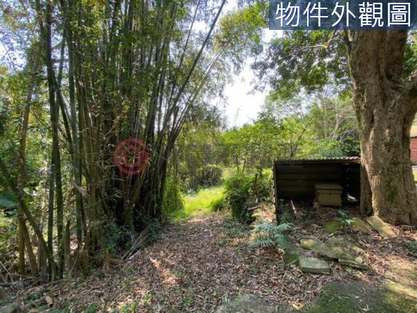 新竹新埔農牧用地-6