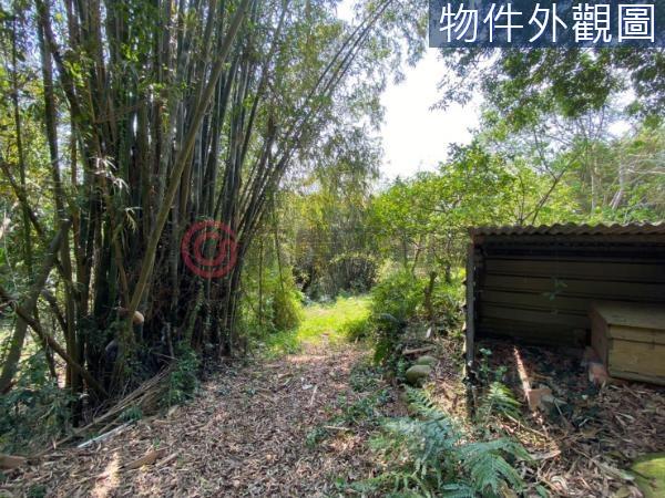 新竹新埔農牧用地-8