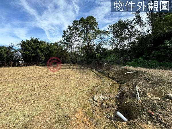 新竹竹東農地-1