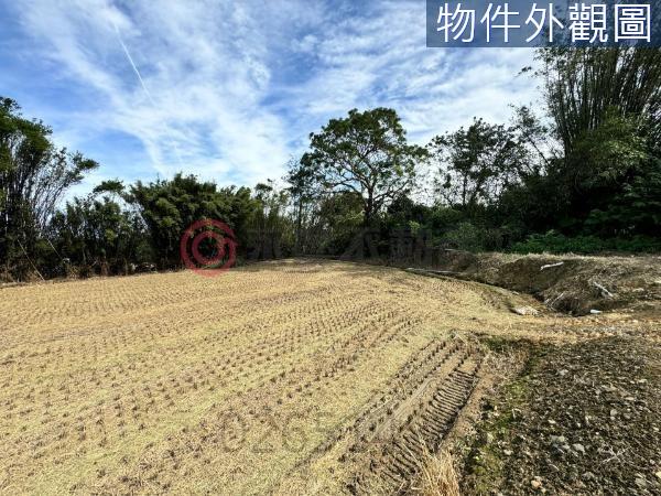 新竹竹東農地-5