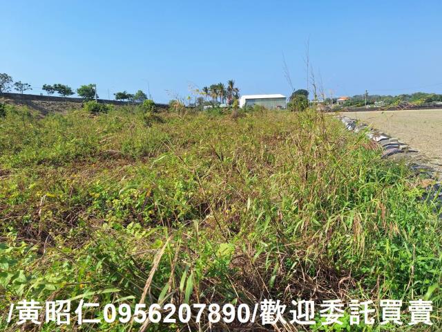 仁德農地-1