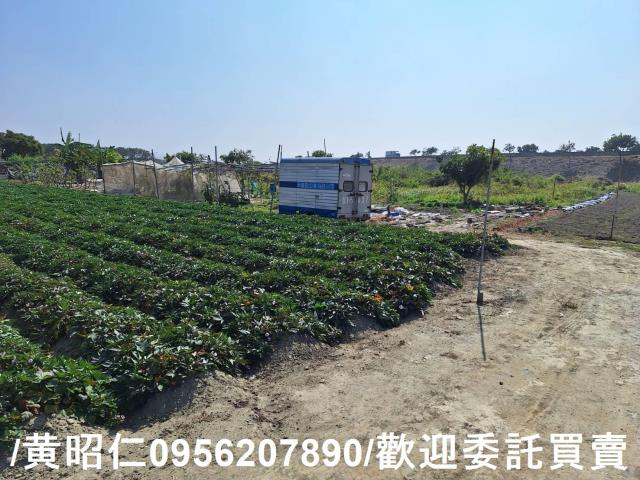 仁德農地-5