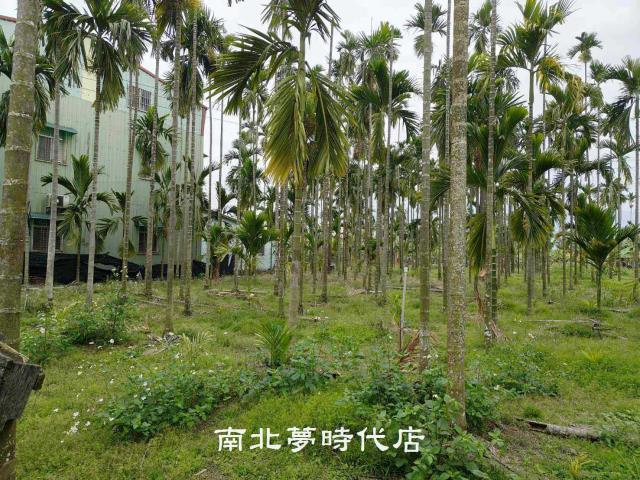 屏東萬巒農地-7