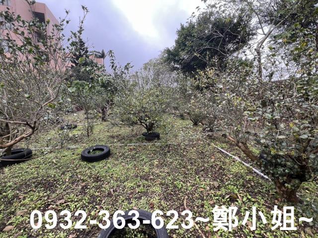 中壢農地-3
