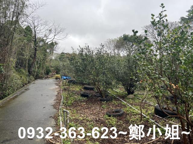 中壢農地-4