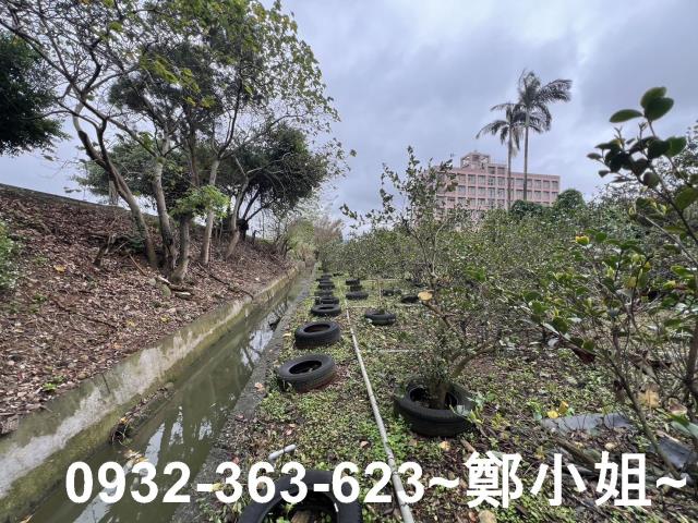 中壢農地-5