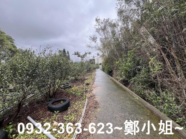 中壢農地-7