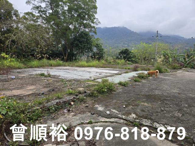 新竹農地-2