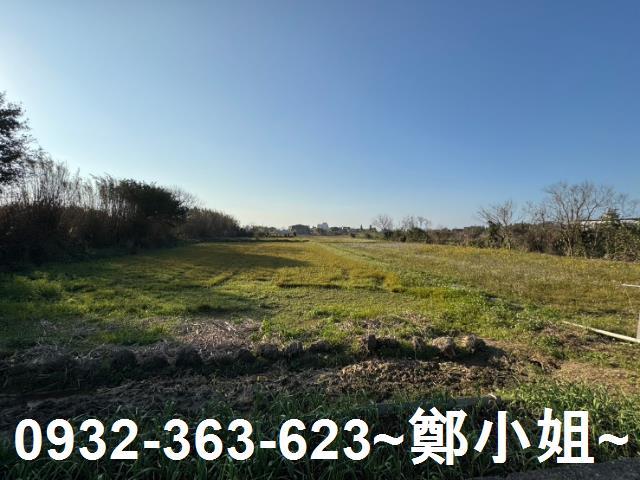 桃園農地-1