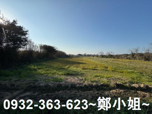 桃園農地-4