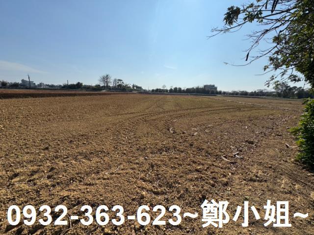 桃園農地-2