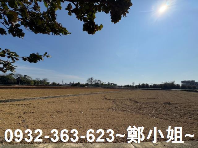 桃園農地-3