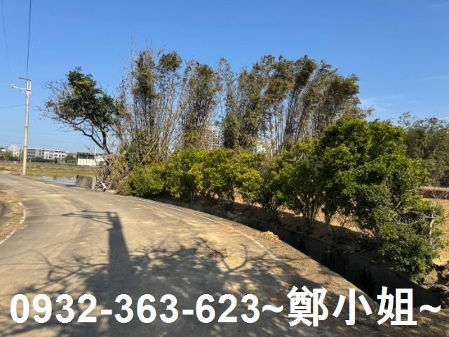 桃園農地-7