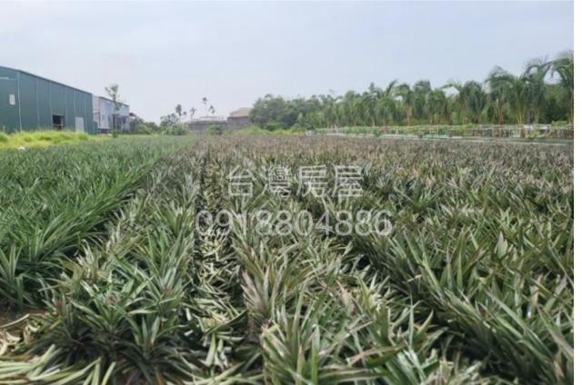 高雄仁武農地-2