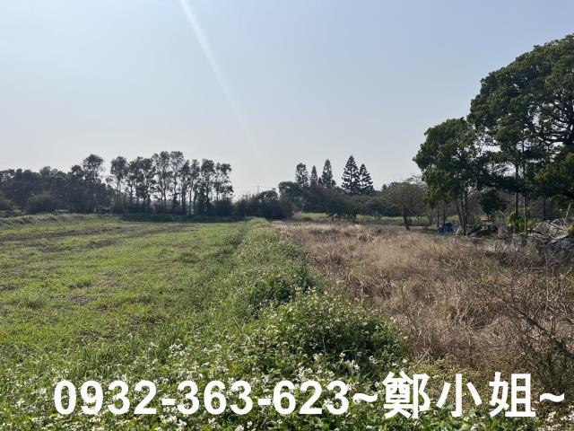 觀音農地-6