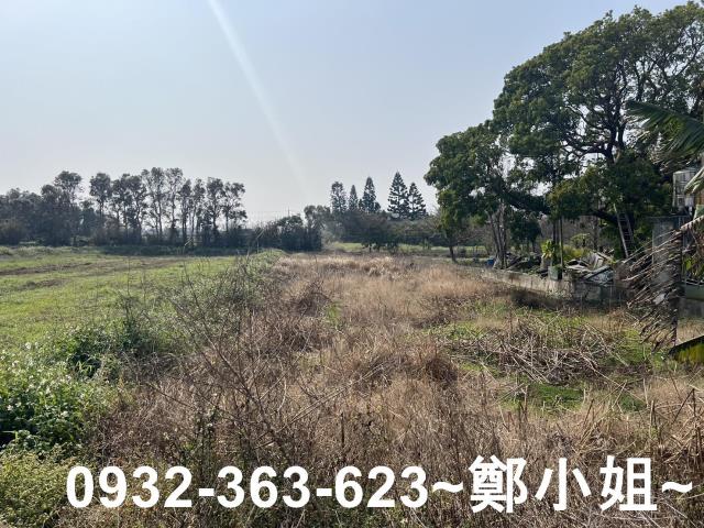 觀音農地-7