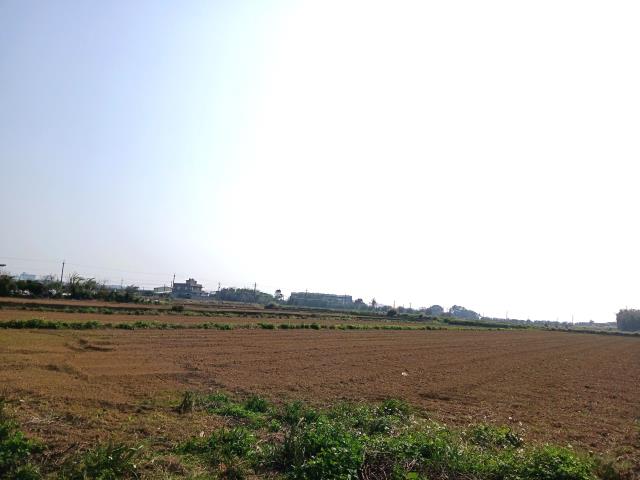 桃園新屋農地-6
