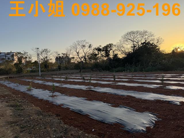 桃園中壢農地-3