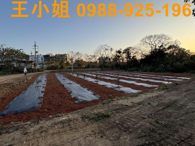 桃園中壢農地-4