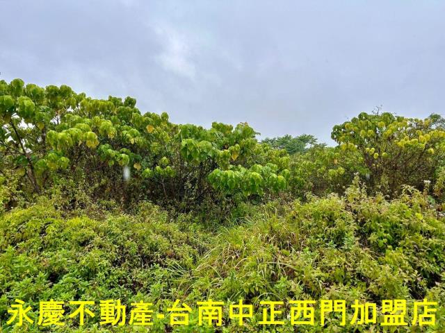 楠西農地-10