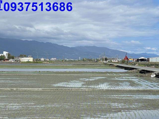 礁溪農地-11