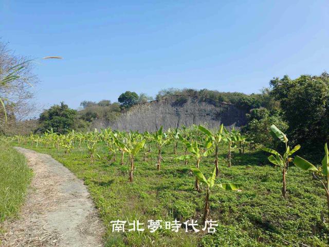 玉井農地-8