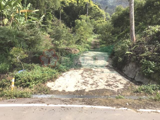 太平農地-1
