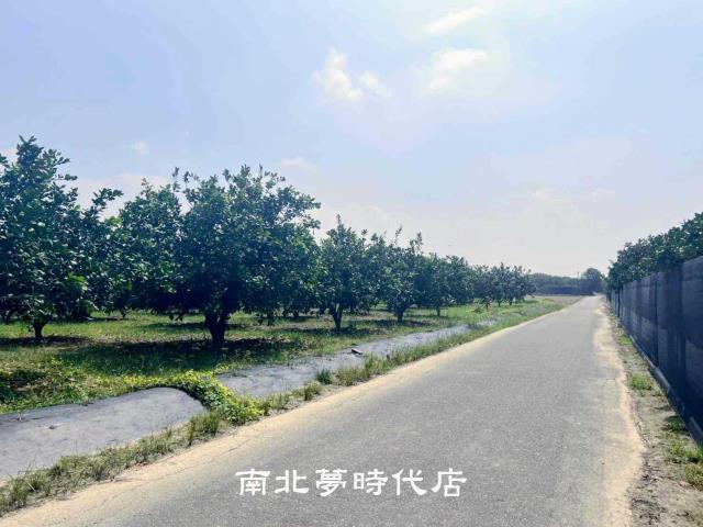 麻豆農地-3