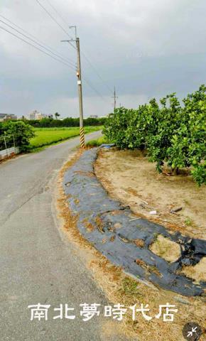 麻豆農地-9