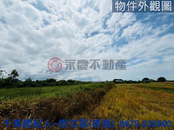 新竹農地-1