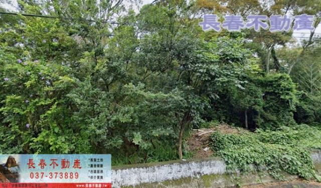 苗栗農地-3