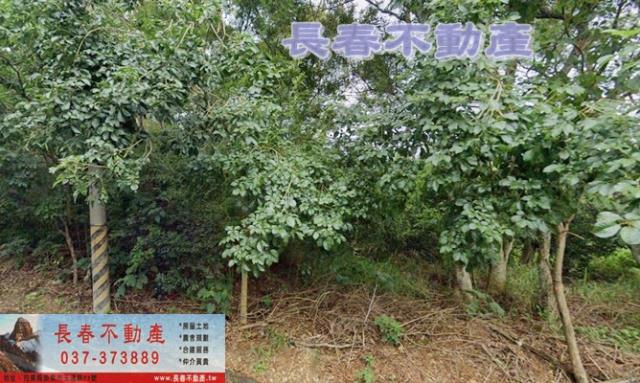 苗栗農地-4