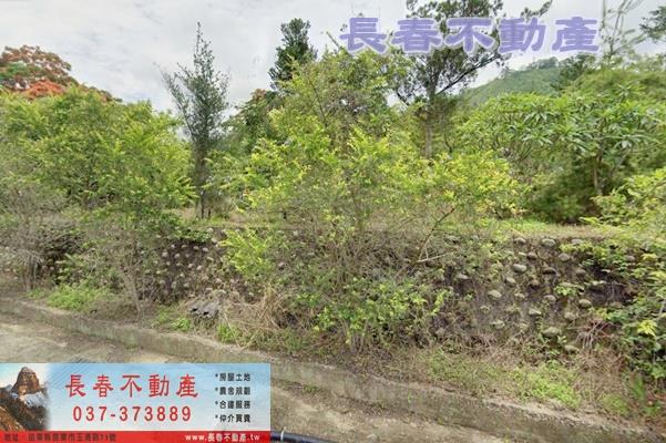 苗栗農地-1