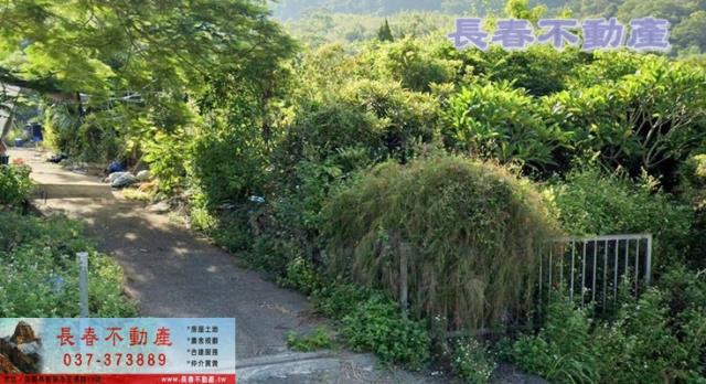 苗栗農地-2