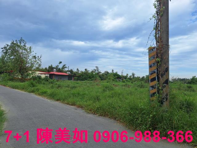 高雄大社農地-1