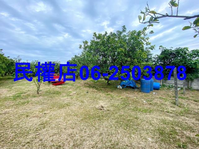 台南麻豆農地-5