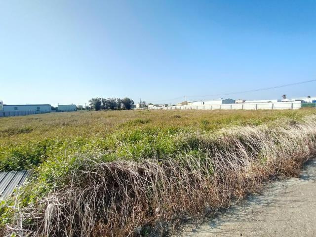 埔鹽農地-8