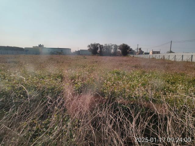 埔鹽農地-9