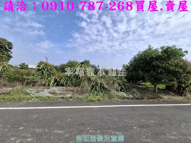 玉井農地-13